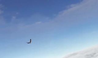 天涯明月刀大轻功 天涯明月刀大轻功