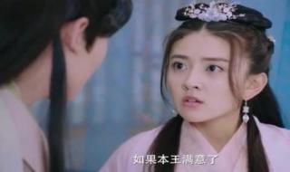 神秘王爷独宠妃